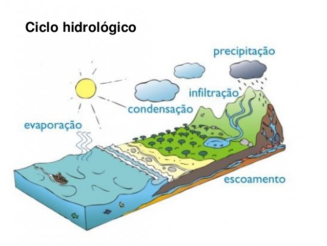 Ciclo Hidrológico – Explica Fácil